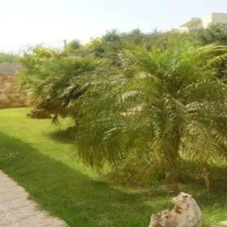 Cactus Chania شقة ستالوس